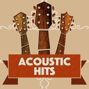 Acoustic Hits的專輯Acoustic Hits