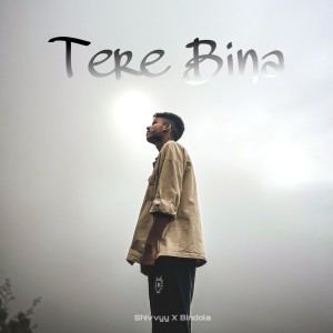Listen to Tere Bina song with lyrics from Shivvyy