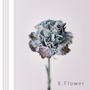 收聽K. Flower的Say歌詞歌曲