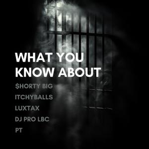 ITCHYBALLS的專輯What You Know About (feat. $HORTY BIG, LuxTax, ITCHYBALLS & PT) [Explicit]