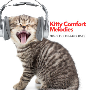 Soft Background Music的專輯Kitty Comfort Melodies: Music For Relaxed Cats
