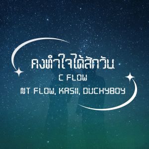 Album คงทำใจได้สักวัน from C Flow