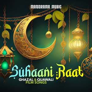 Iwan Fals & Various Artists的專輯Suhaani Raat