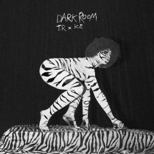 Tobias Rahim的專輯Dark Room