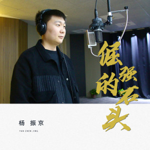 Album 倔强的石头 from 杨振京