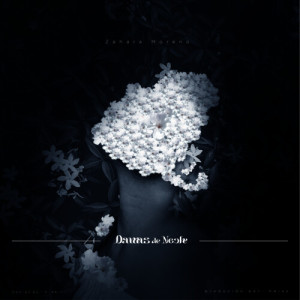 Album DAMAS DE NOCHE from Zahra Moreno