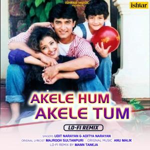 Akele Hum Akele Tum (Lo - Fi Remix) dari Aditya Narayan