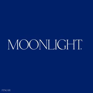 收聽Fengari的Moonlight歌詞歌曲