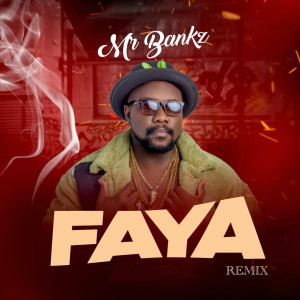 Album Faya (Remix) from Mr Bankz