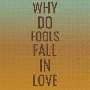 Album Why Do Fools Fall In Love oleh Silvia Natiello-Spiller