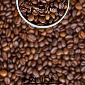 ดาวน์โหลดและฟังเพลง Cafeina พร้อมเนื้อเพลงจาก Haudini