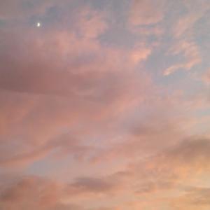 Listen to Moonlight Seashore song with lyrics from 尹姿 ソニア