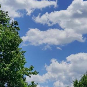 ดาวน์โหลดและฟังเพลง cycles (Explicit) พร้อมเนื้อเพลงจาก d0mm