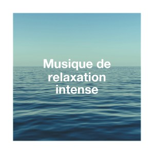 Album Musique De Relaxation Intense from Musique de Relaxation
