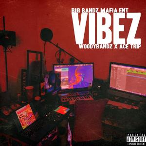 WoodyBandz的專輯VIBEZ