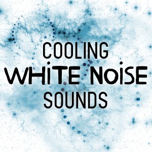 ดาวน์โหลดและฟังเพลง White Noise: Spring Falls พร้อมเนื้อเพลงจาก White Noise Baby