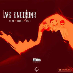 Album Me Encojona (Explicit) from Towy