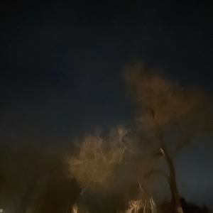 NUCLE BRAWNSHIEN的专辑BARAFART (feat. Duwap Kaine, ICYTWAT, Reese LAFLARE & Good Gas) (Explicit)