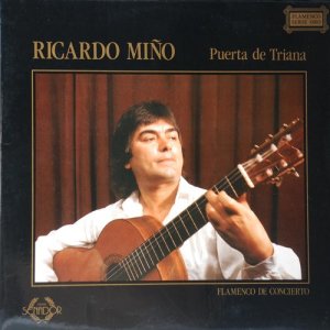 收聽Ricardo Miño的Enseñame歌詞歌曲