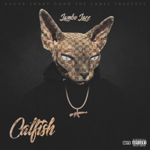 ดาวน์โหลดและฟังเพลง Catfish (Explicit) พร้อมเนื้อเพลงจาก Lambo Lace