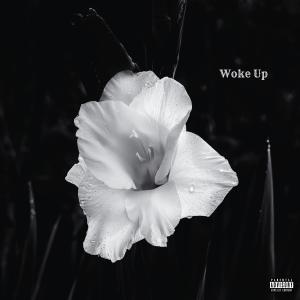 ดาวน์โหลดและฟังเพลง Woke Up (Explicit) พร้อมเนื้อเพลงจาก Lilkvffs