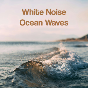 อัลบัม White Noise Ocean Waves ศิลปิน Wave Sound Group