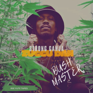 ดาวน์โหลดและฟังเพลง Bush Master พร้อมเนื้อเพลงจาก Legacy Mekas Muzik