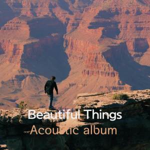 อัลบัม Beautiful Things (Acoustic) ศิลปิน Dragon Stone