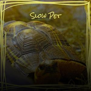 Listen to Sovereignity Festive song with lyrics from Vica Dorett