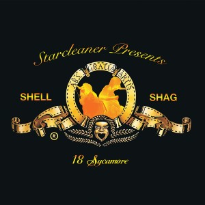 ดาวน์โหลดและฟังเพลง Combat พร้อมเนื้อเพลงจาก ShellShag