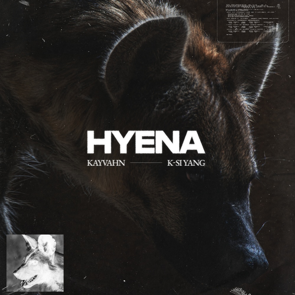 Hyena (Explicit)