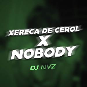 收聽DJ NVZ的Xereca de Cerol X Nobody (Explicit)歌詞歌曲