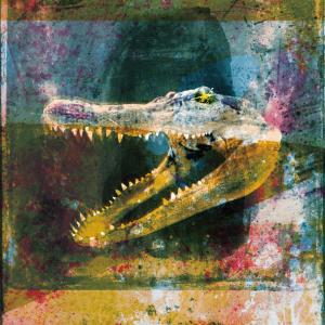 收聽Mogwai的Dry Fantasy歌詞歌曲