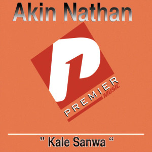 ดาวน์โหลดและฟังเพลง Congratulations พร้อมเนื้อเพลงจาก Akin Nathan