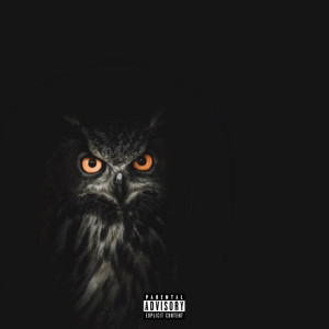 prodmkayy的專輯Industry Star (Explicit)