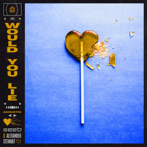 收聽Seeb的Would You Lie (Acoustic Version)歌詞歌曲