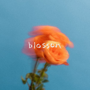 The Summer Set的專輯Blossom (Explicit)