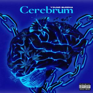 Listen to Tribal (Explicit) song with lyrics from Young Buddha