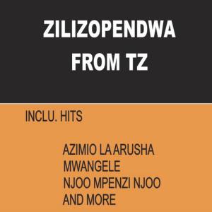 收聽Zilizopendwa From Tz的Njoo Mpenzi Njoo歌詞歌曲