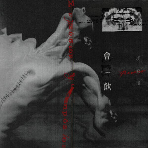 Listen to 悲歌 song with lyrics from Theseus 忒修斯