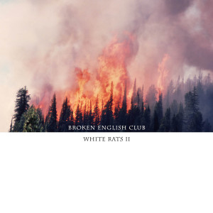ดาวน์โหลดและฟังเพลง Wildlife พร้อมเนื้อเพลงจาก Broken English Club