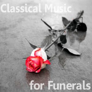 ดาวน์โหลดและฟังเพลง Canon in D Major พร้อมเนื้อเพลงจาก Royal Philharmonic Orchestra