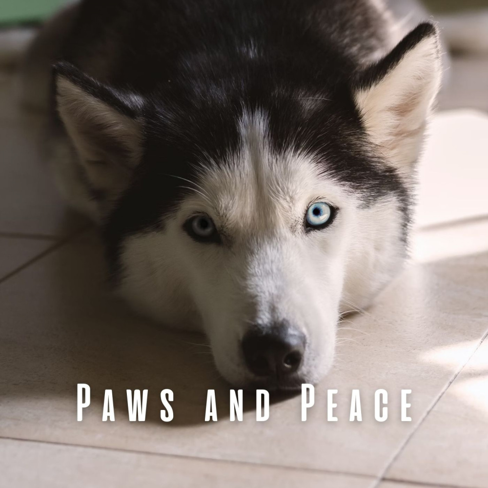 Ambient Paw Whispers