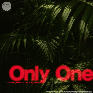 ดาวน์โหลดและฟังเพลง Only One (Explicit) พร้อมเนื้อเพลงจาก Ekzakt