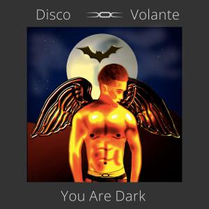 อัลบัม You Are Dark ศิลปิน Disco Volante