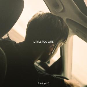 Ben Provencial的專輯LITTLE TOO LATE (Stripped)