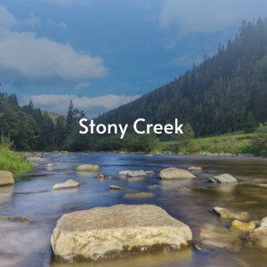 收听The Stanley Brothers的Stony Creek歌词歌曲