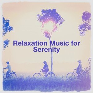 Relaxation and Meditation的專輯Relaxation Music for Serenity