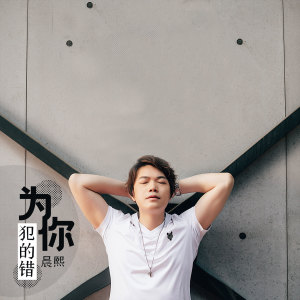 Listen to 为你犯的错 song with lyrics from 晨熙