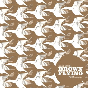 ดาวน์โหลดและฟังเพลง หลง พร้อมเนื้อเพลงจาก Brown Flying